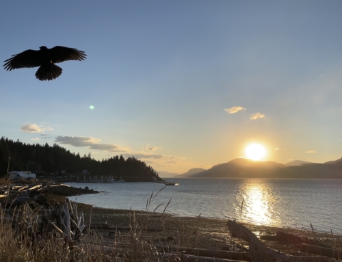 yáqʷa Launches Haisla Business Directory